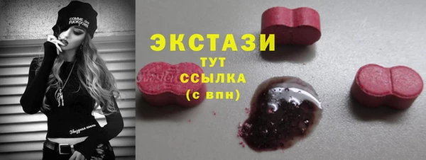 мдпв Новозыбков