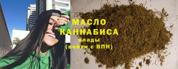 мдпв Новозыбков