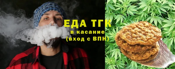 мдпв Новозыбков
