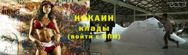 мдпв Новозыбков