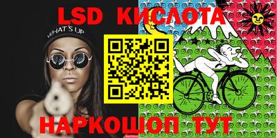 молекула духа Камышлов
