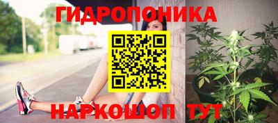 ALPHA PVP Беслан