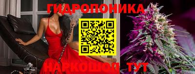 jwh Кимры