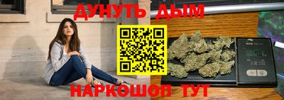 индика Бийск