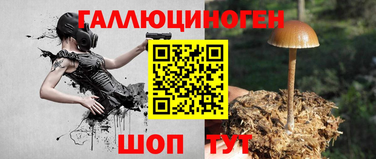 Галлюциногенные грибы MAGIC MUSHROOMS Морозовск
