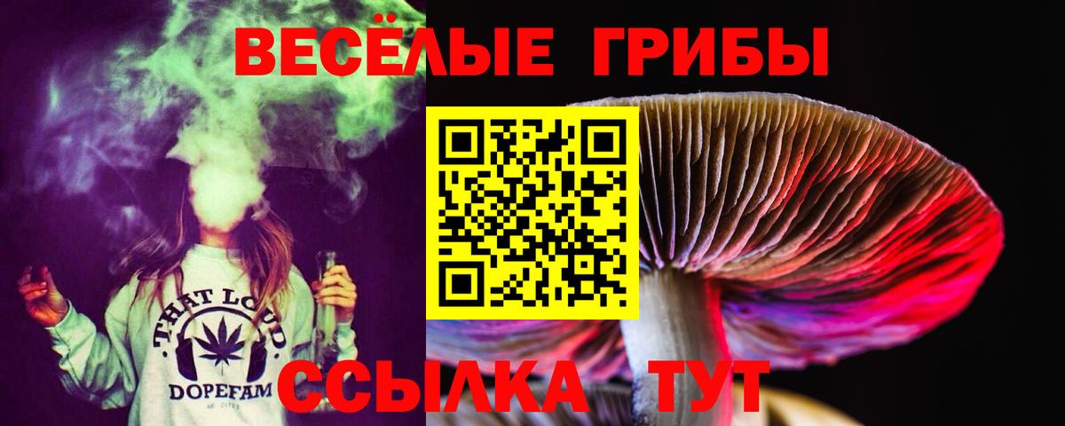 Псилоцибиновые грибы MAGIC MUSHROOMS  Морозовск  Псилоцибиновые грибы Cubensis 