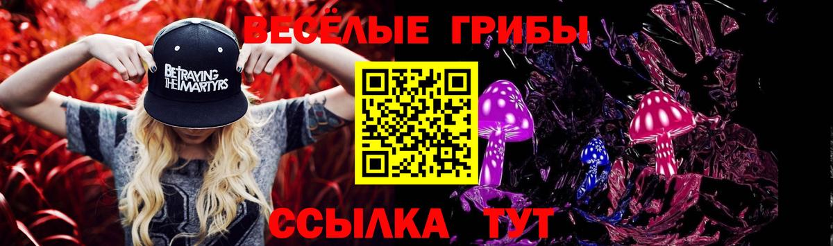 Псилоцибиновые грибы Cubensis Морозовск