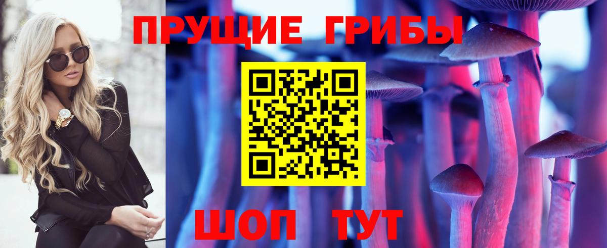Псилоцибиновые грибы мицелий  Вход с VPN  Морозовск 